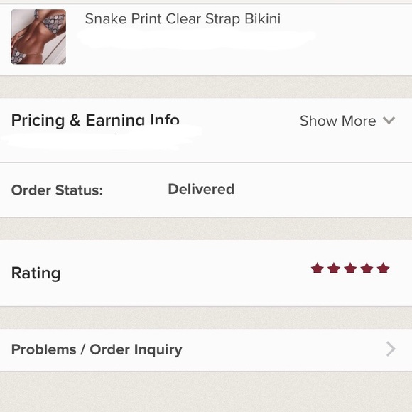 Snake Print Clear Strap Bikini - Picture 3 of 3